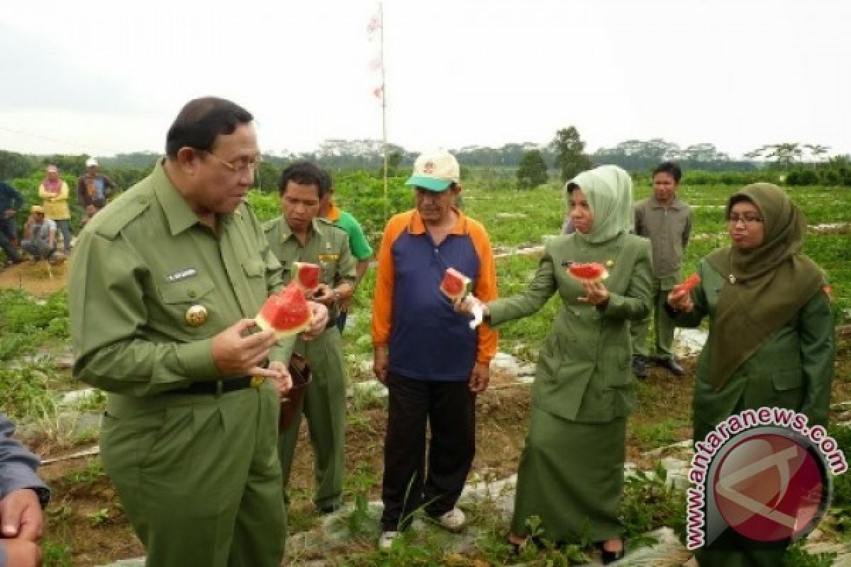 Minat Pemuda Bontang Geluti Pertanian Masih Rendah