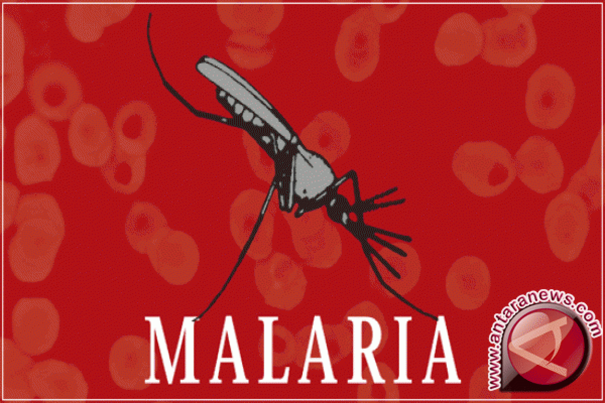 Kasus malaria di Bangka Selatan menurun