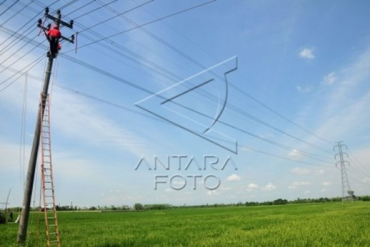 PLN Sita Kabel Petani Terkait Pencurian Listrik