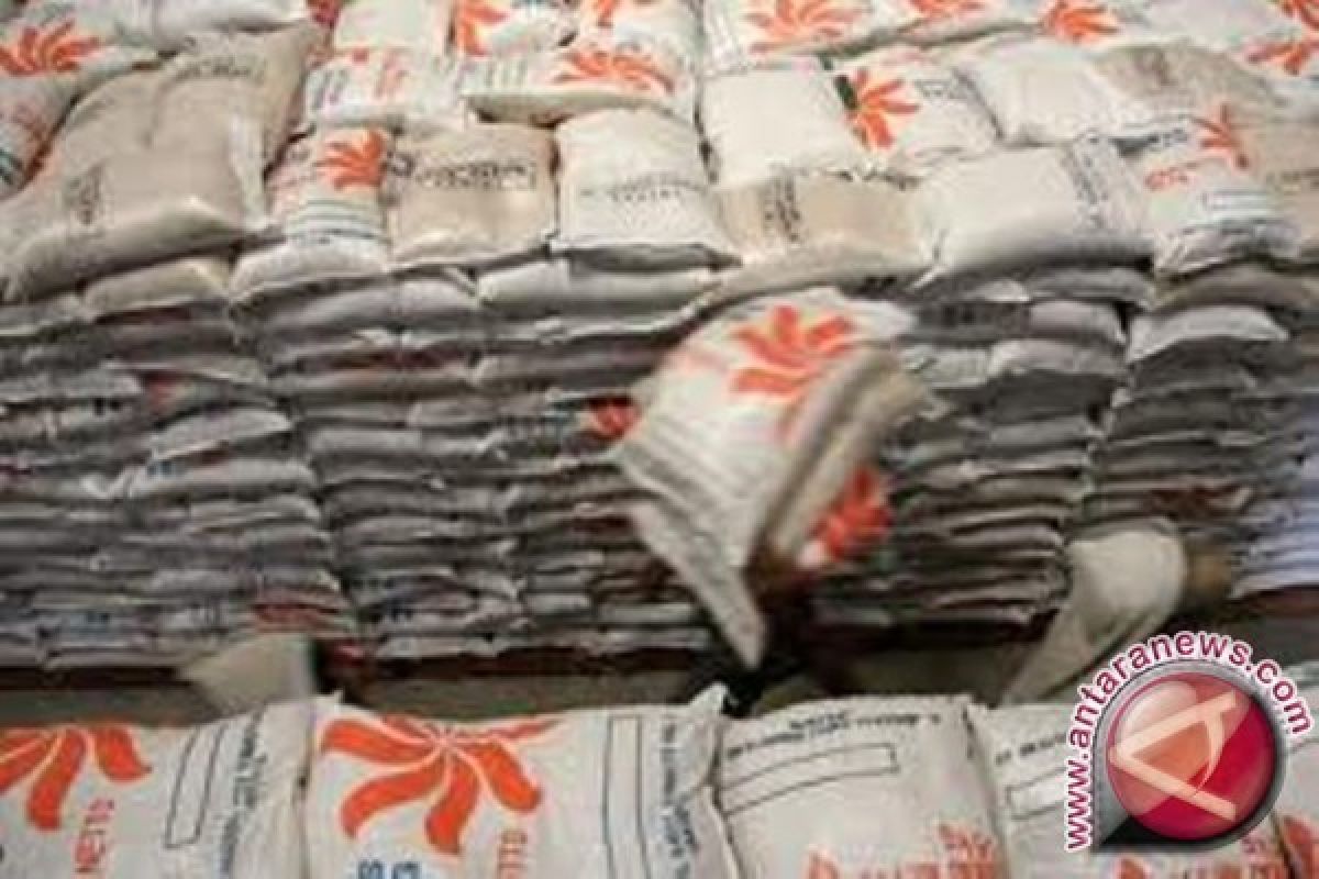 Bulog Papua serap 9.000 ton beras petani