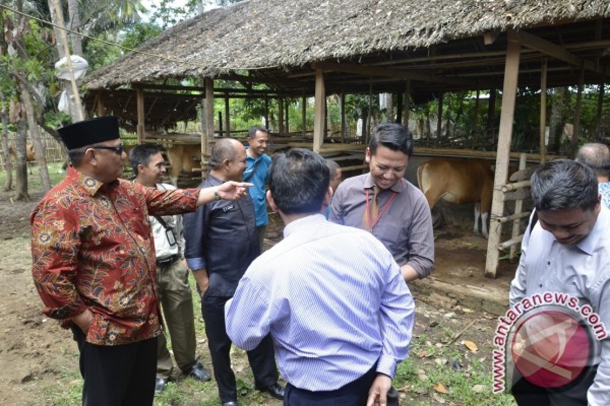 Peternak Diminta Pakai Teknologi Inseminasi Buatan 