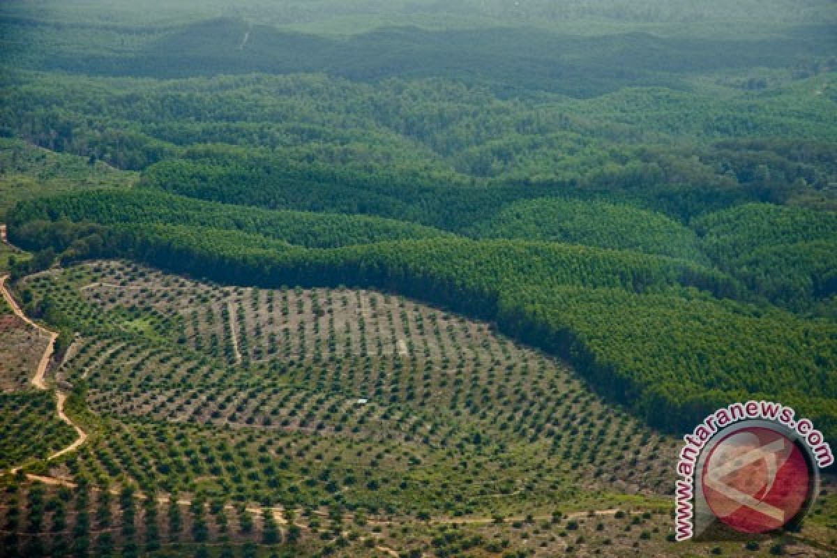 KLHK temukan indikasi pelanggaran HGU hutan Sumsel