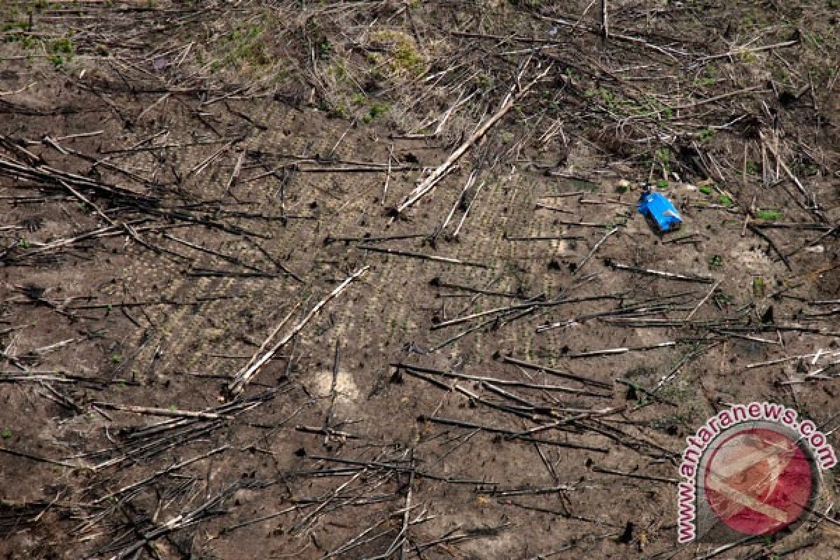 Tim gabungan sita ekskavator perambah hutan Tesso Nilo