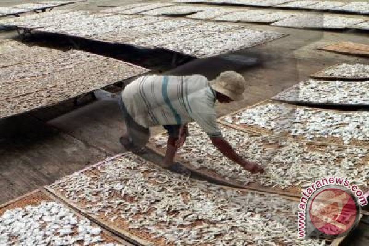 Harga Garam Tinggi, Perajin Ikan Mengeluh