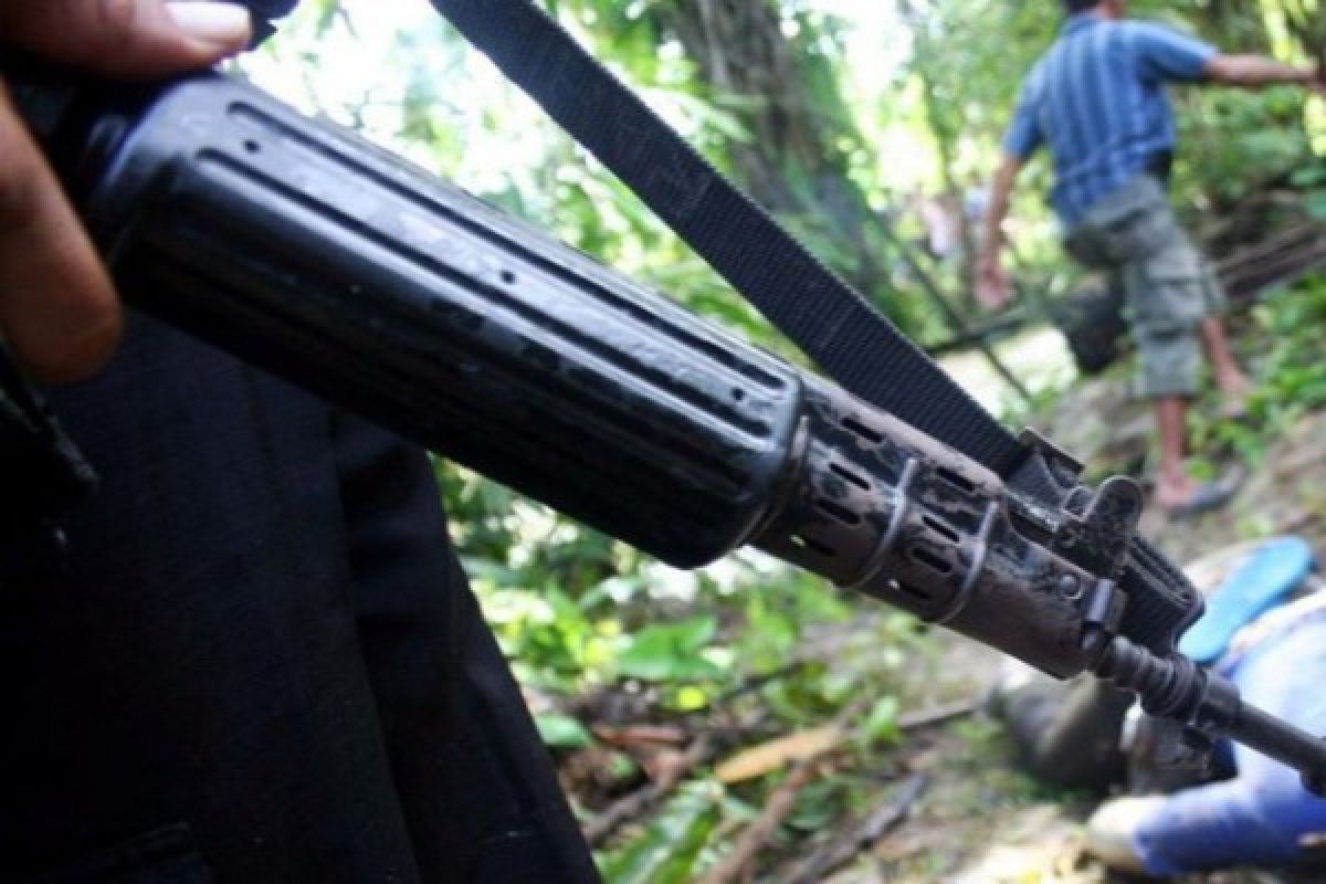Salah satu pimpinan KKB tewas tertembak tim gabungan TNI-Polri