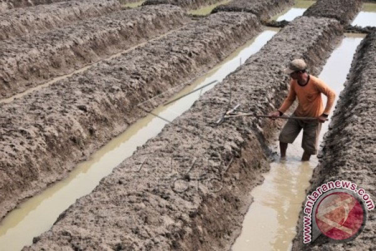 LSHJ: BPN Jangan Mudah Tetapkan Tanah Terlantar