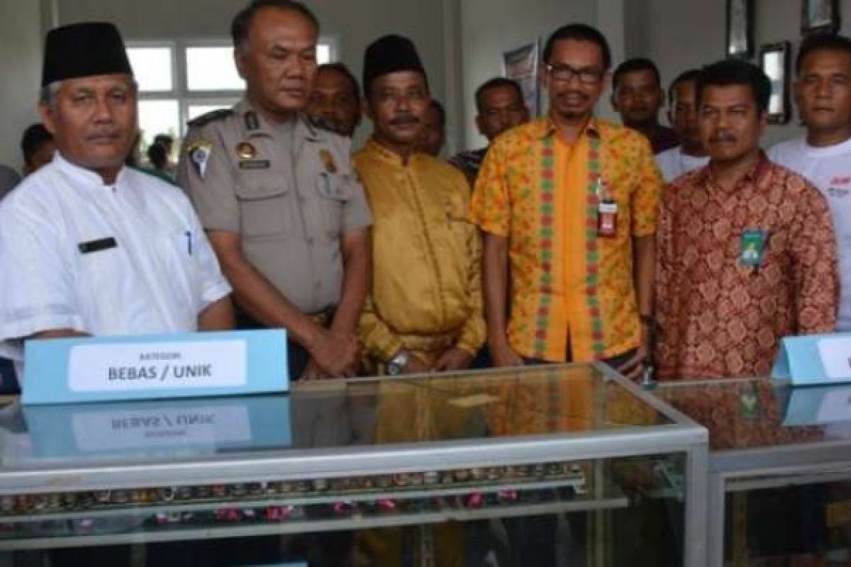 Batu Akik Tunggang Maniok Masuk Museum Belanda