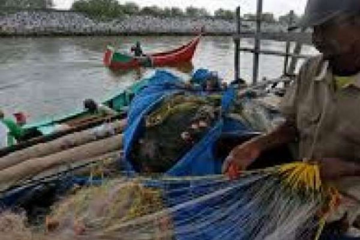 HNSI Riau Dukung KKP Larang Penggunaan Pukat