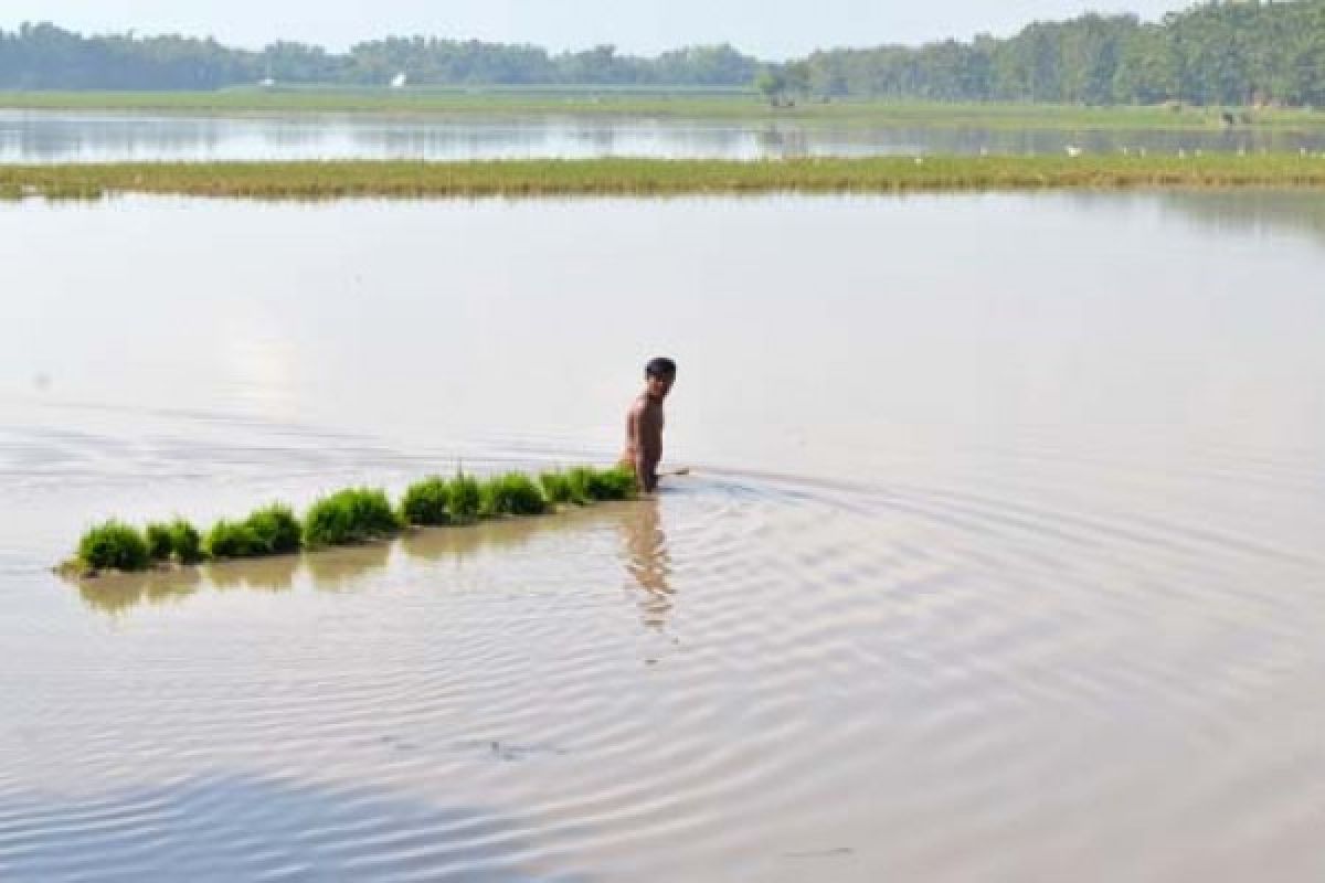 Tiga Desa di Madiun Teredam Banjir