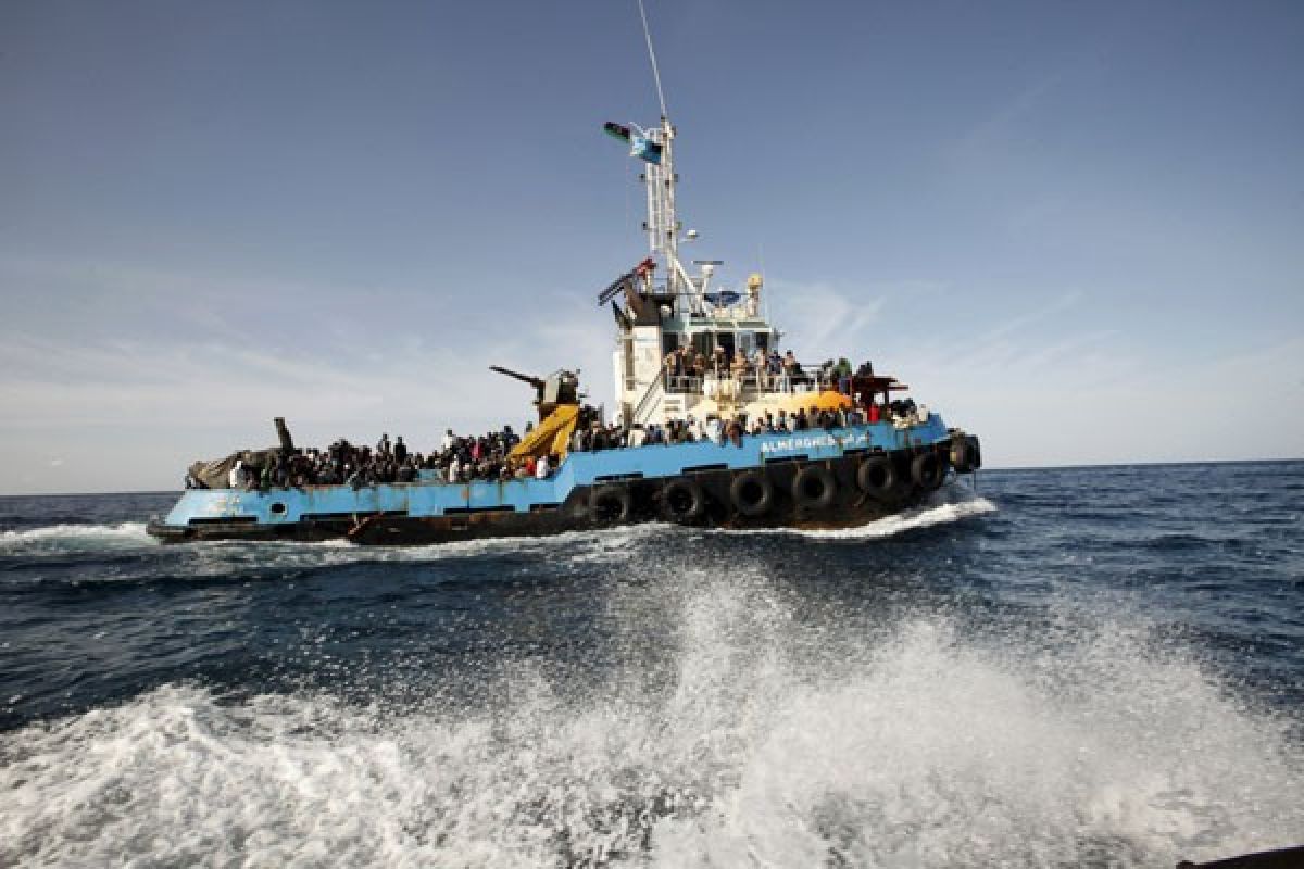 Bulgaria, Yunani, Turki bersatu perangi gelombang migran
