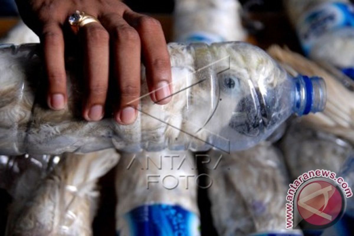 Polisi Ungkap Penyelundupan Kakatua dalam Botol Mineral