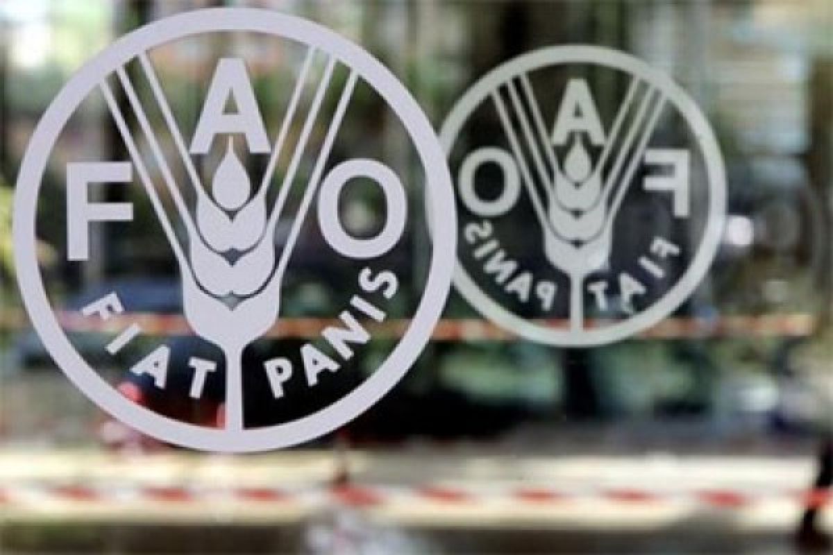 FAO menyebutkan harga pangan dunia naik pada Februari