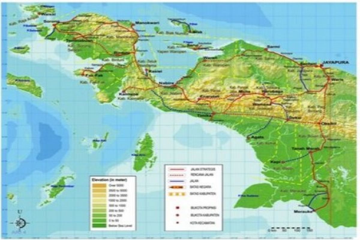Eksplorasi mineral Papua terkendala ketentuan hutan lindung