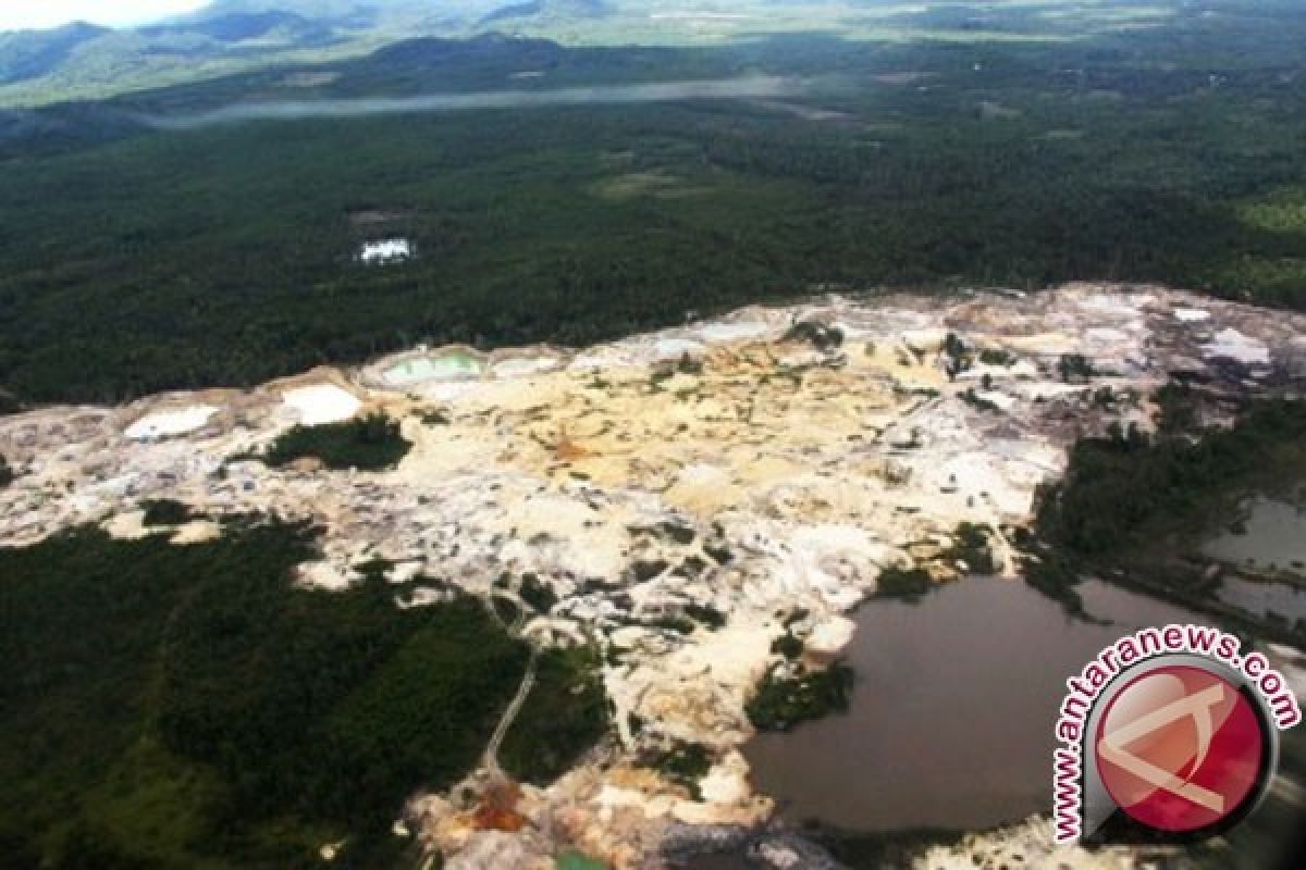 Kerusakan Hutan Indonesia Nomor Dua di Dunia