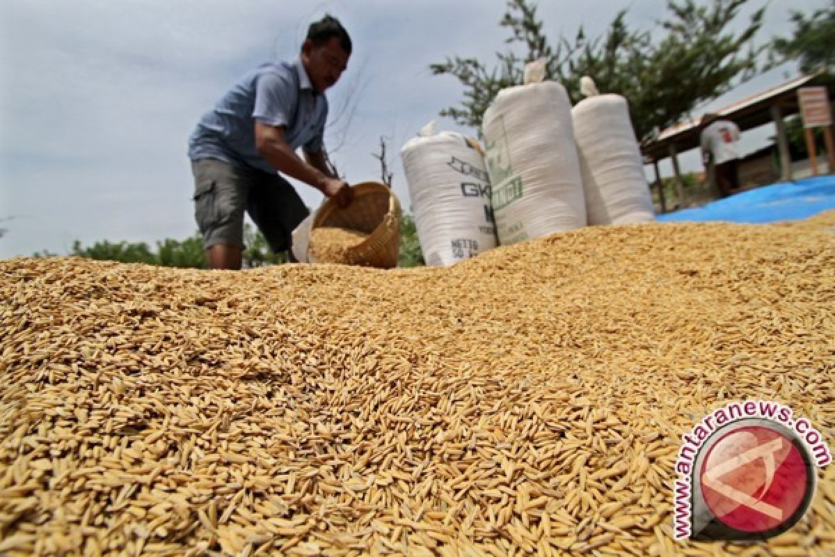 Nilai tukar petani Jambi turun 0,27 persen