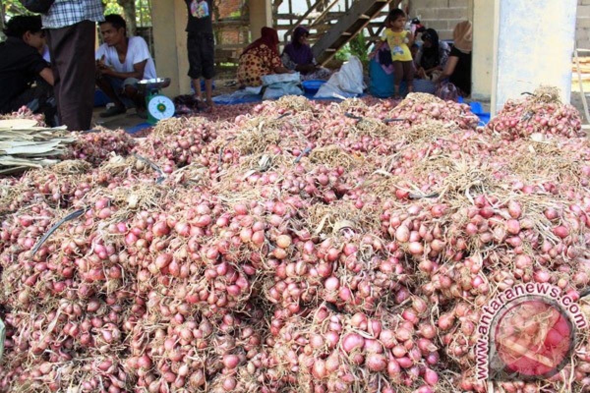 Harga Bawang Merah Lokal Naik di Lhokseumawe