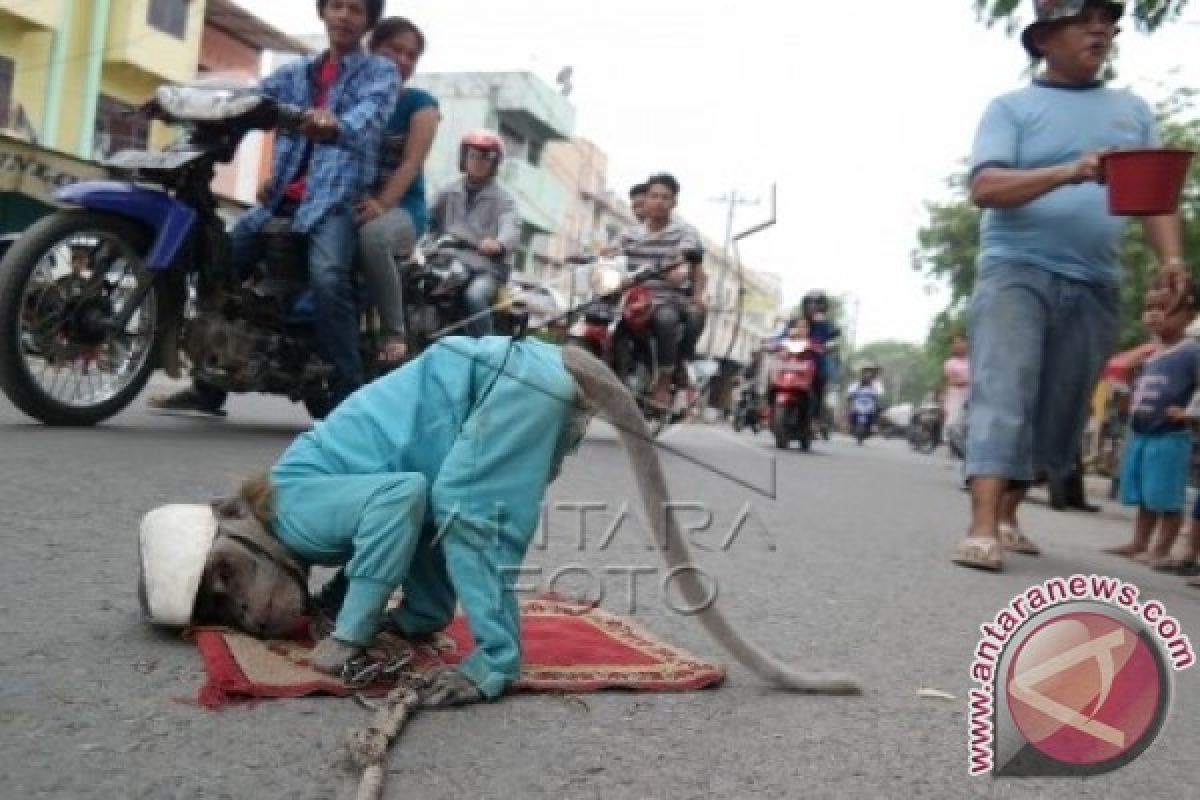 Monyet Eks-topeng Monyet Depasliarkan