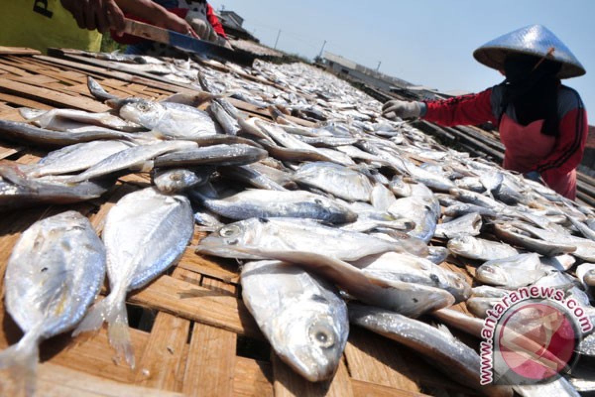 Pemerintah pangkas bantuan pengolahan dan pemasaran ikan