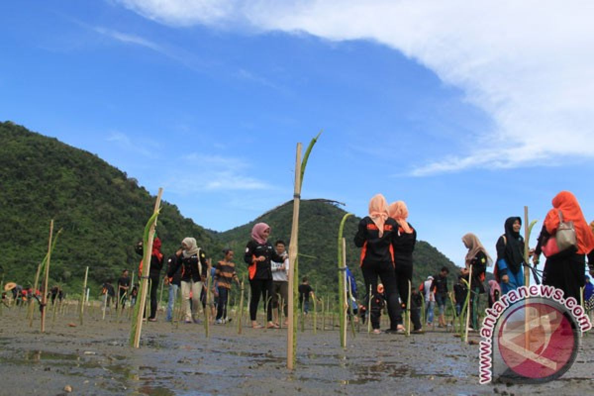 BUMN Kalsel tanam 10.000 mangrove