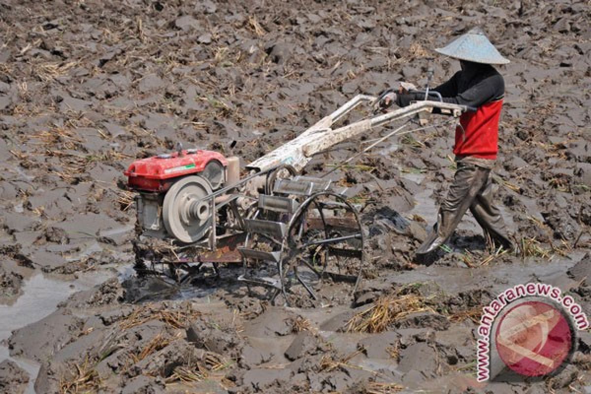 Petani Kabupaten Bogor Peroleh Bantuan 40 Traktor 