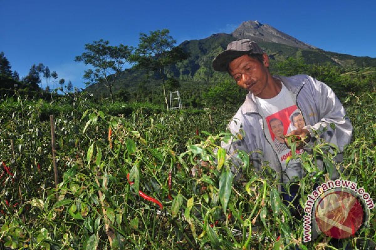 Mentan: harga komoditas tinggi bukan karena pasokan