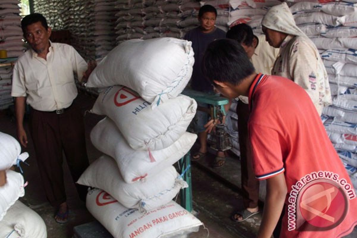 Bulog Bengkulu Miliki Stok Beras 12.000 Ton