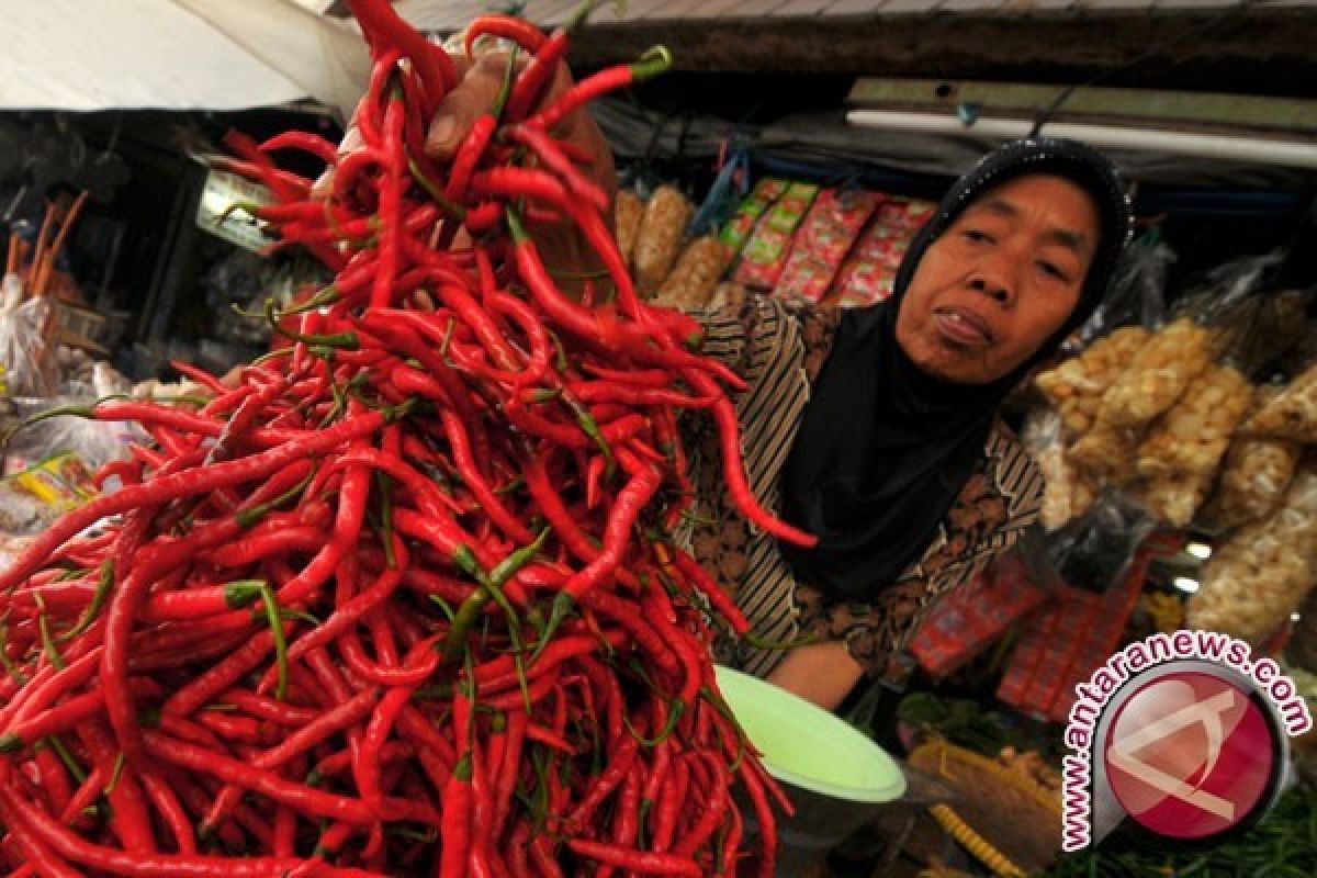 Harga cabai berangsur naik karena pasokan kurang