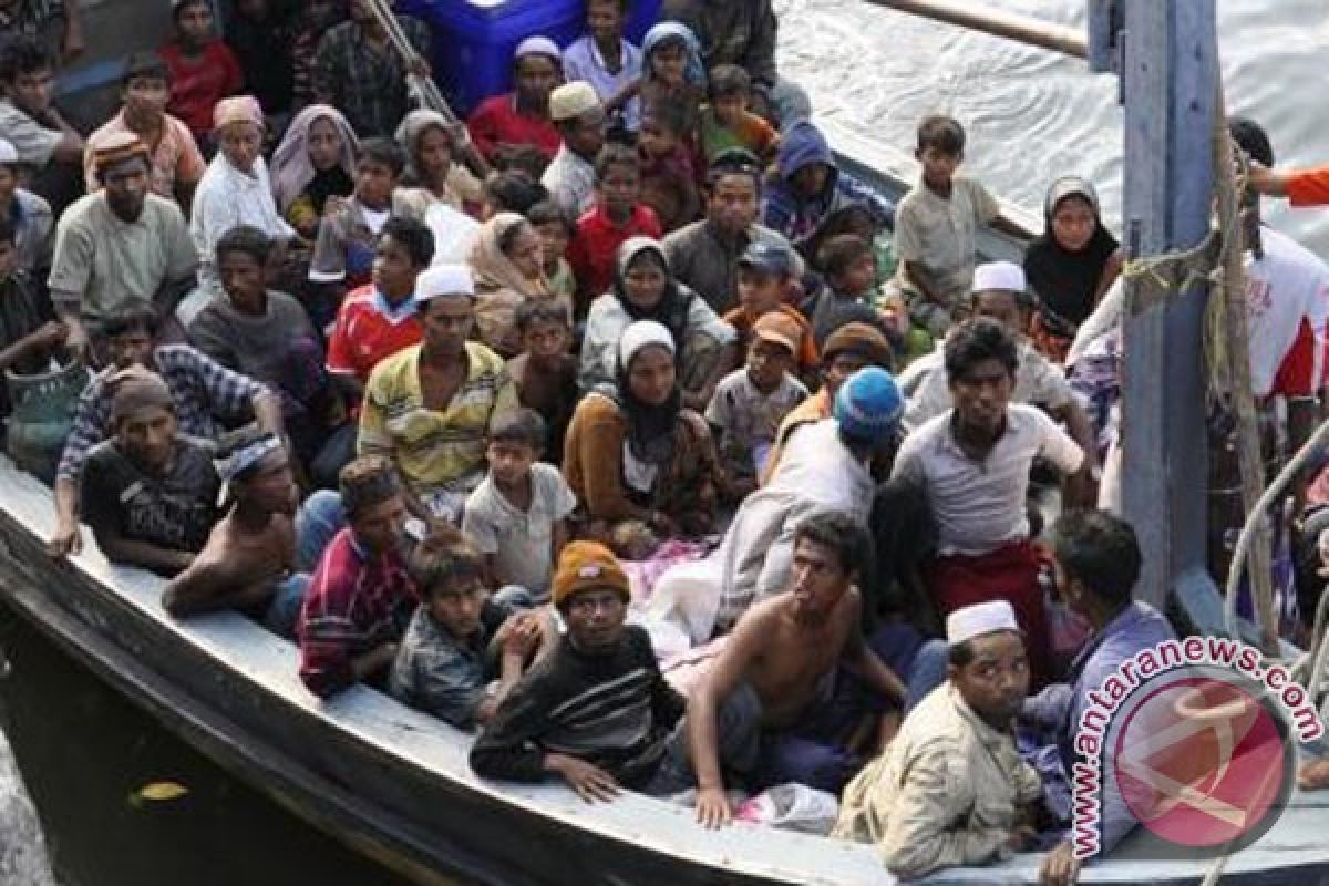 Orang kaya Mesir berunding beli dua pulau bagi pengungsi