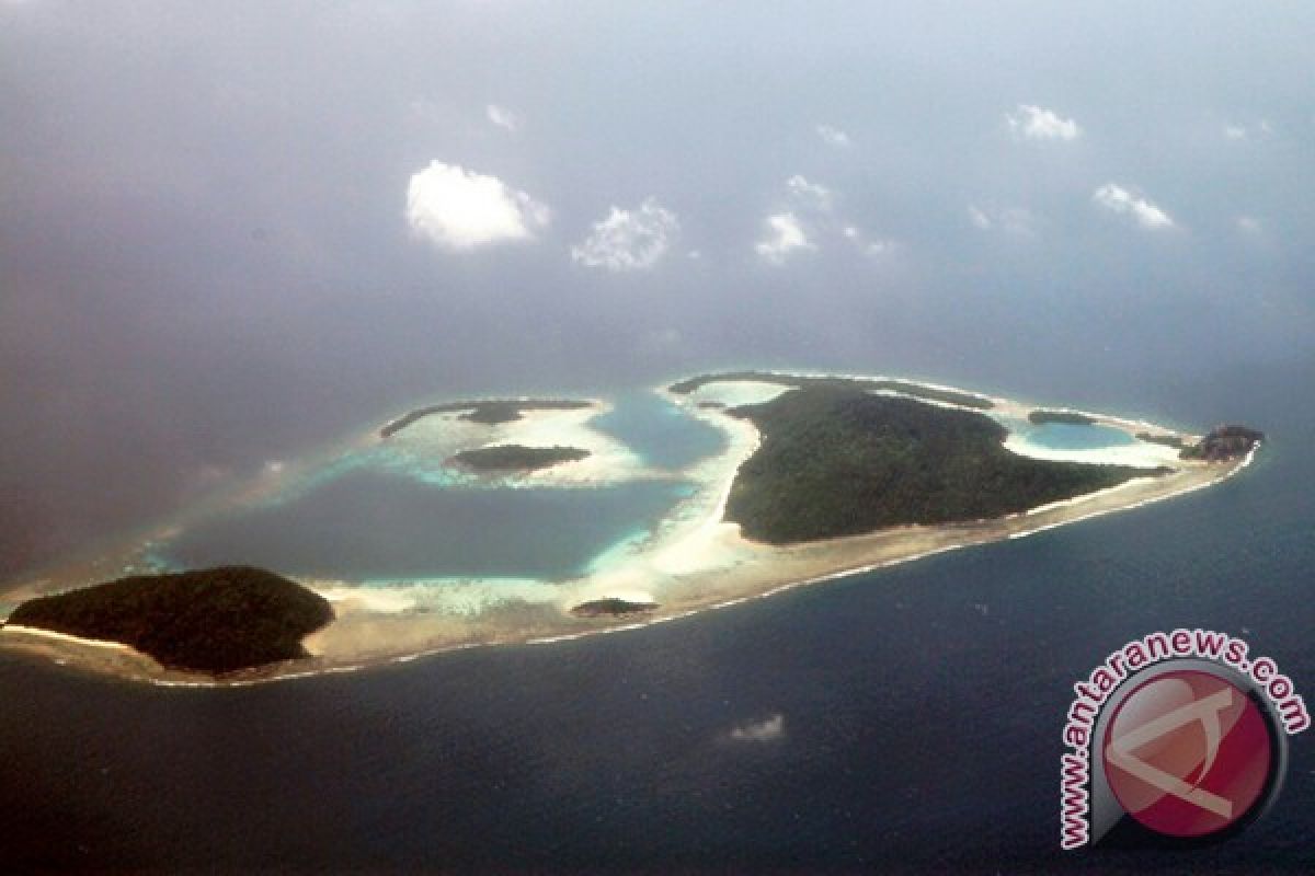 Dispar: Pulau Bawah destinasi wisata yang mewah