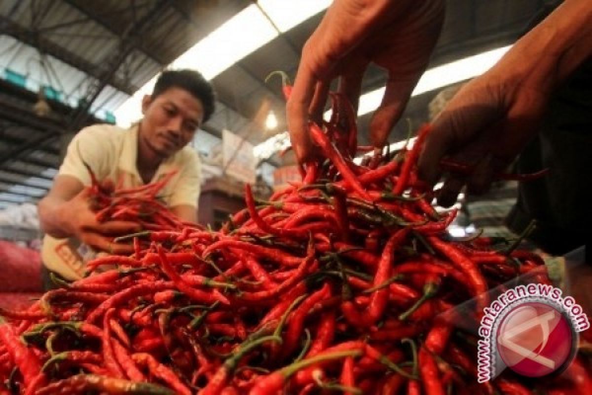 Harga cabai merah kembali naik di Jambi