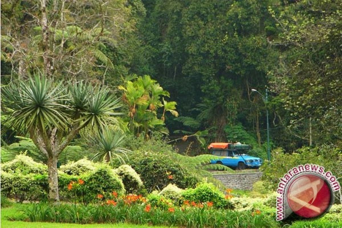 Pencurian tanaman obat marak di kebun raya