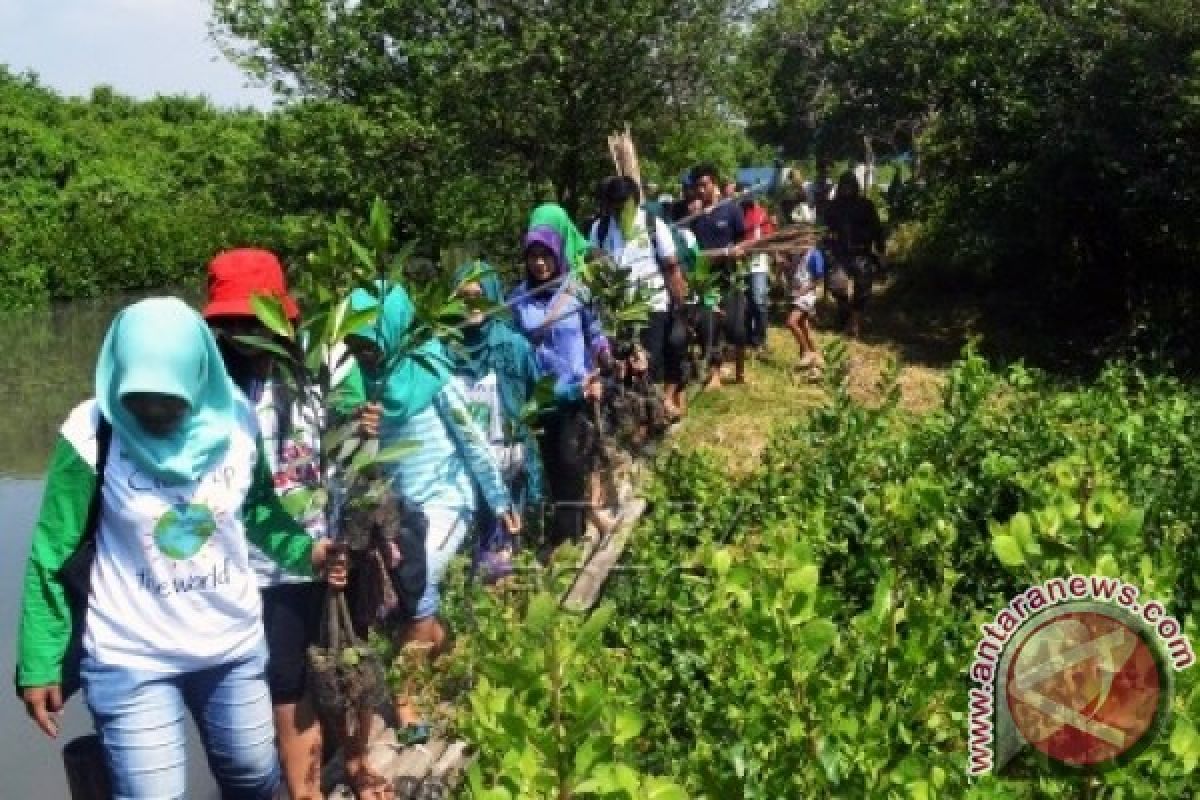 Ribuan Pelajar-Masyarakat Tanam Mangrove Di Pesisir Karawang