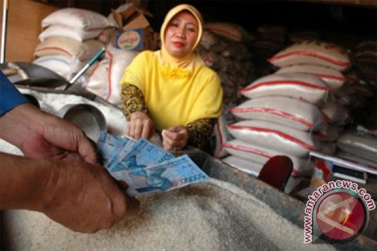 Pemerintah dinilai lambat periksa beras sintetis