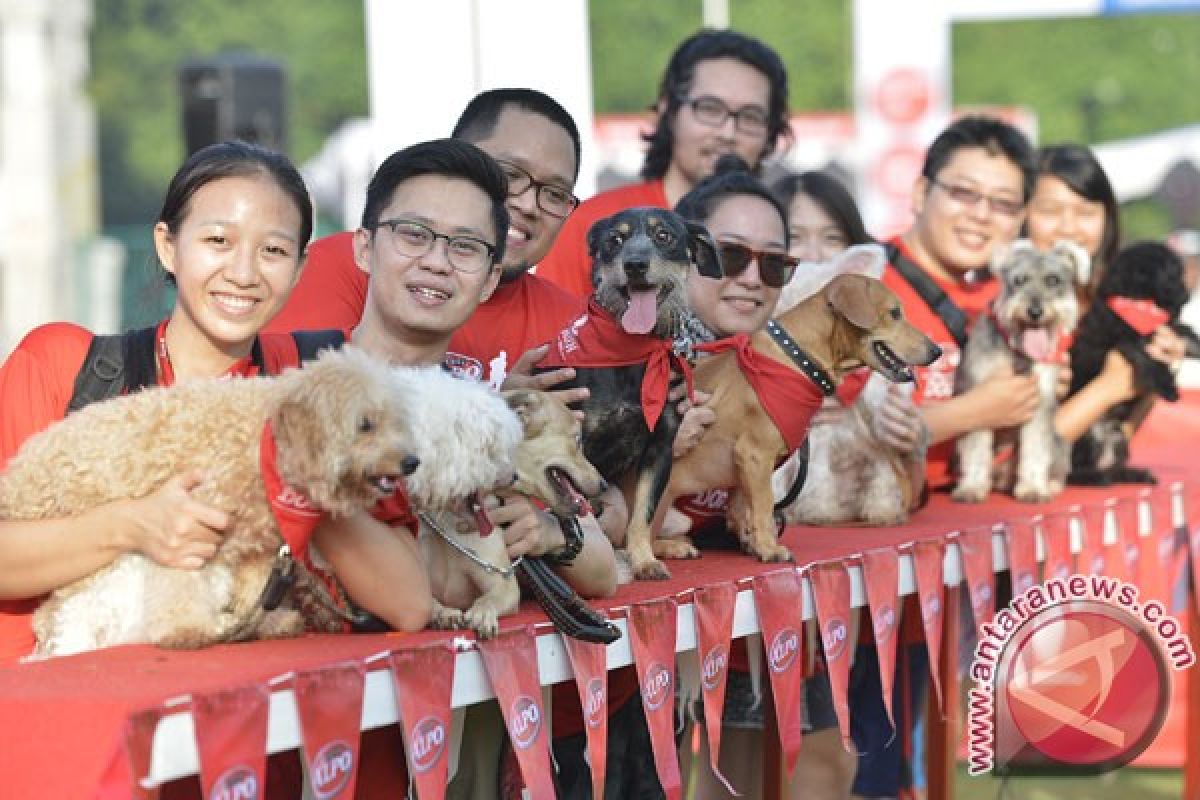 Kiat melatih anjing peliharaan