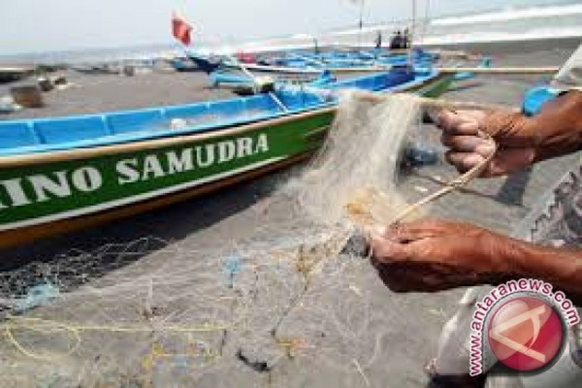 2.000 unit kapal pompong bantuan Pemkab ke petani Tanjabtim