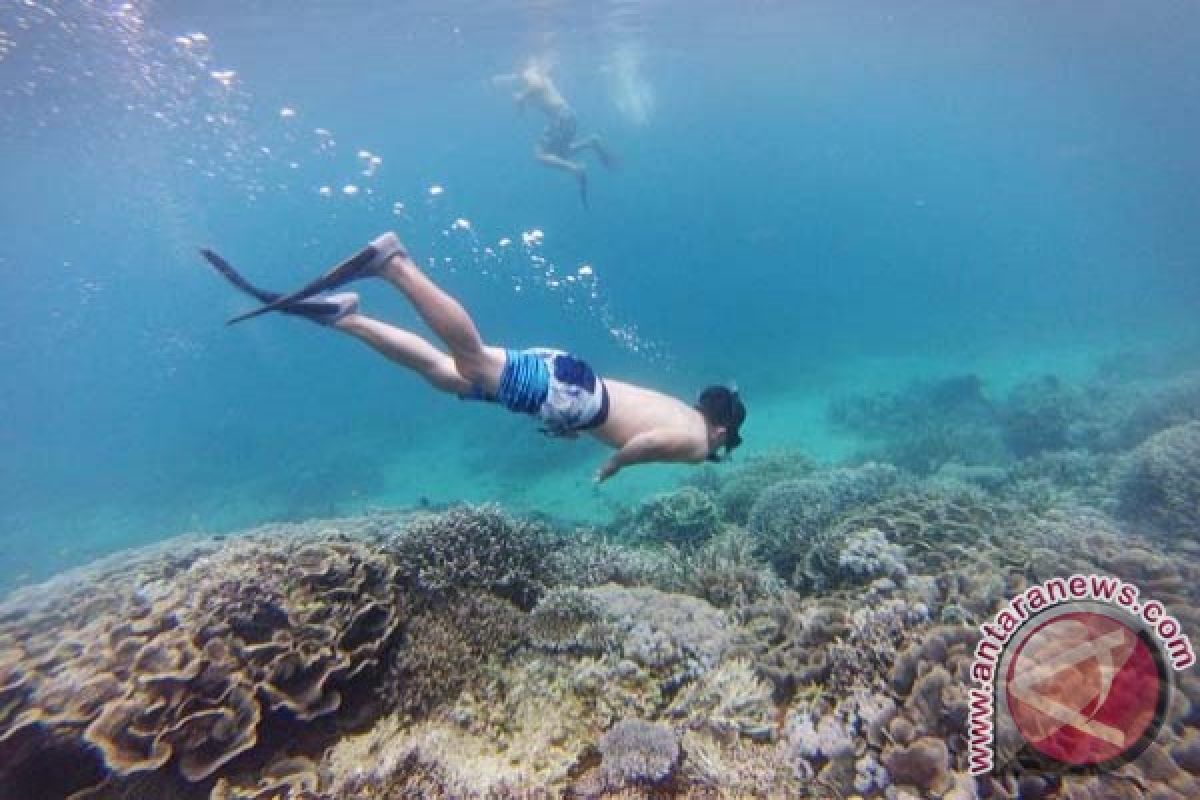 Pulau Kampung Samberpasi Biak lokasi baru wisata diving