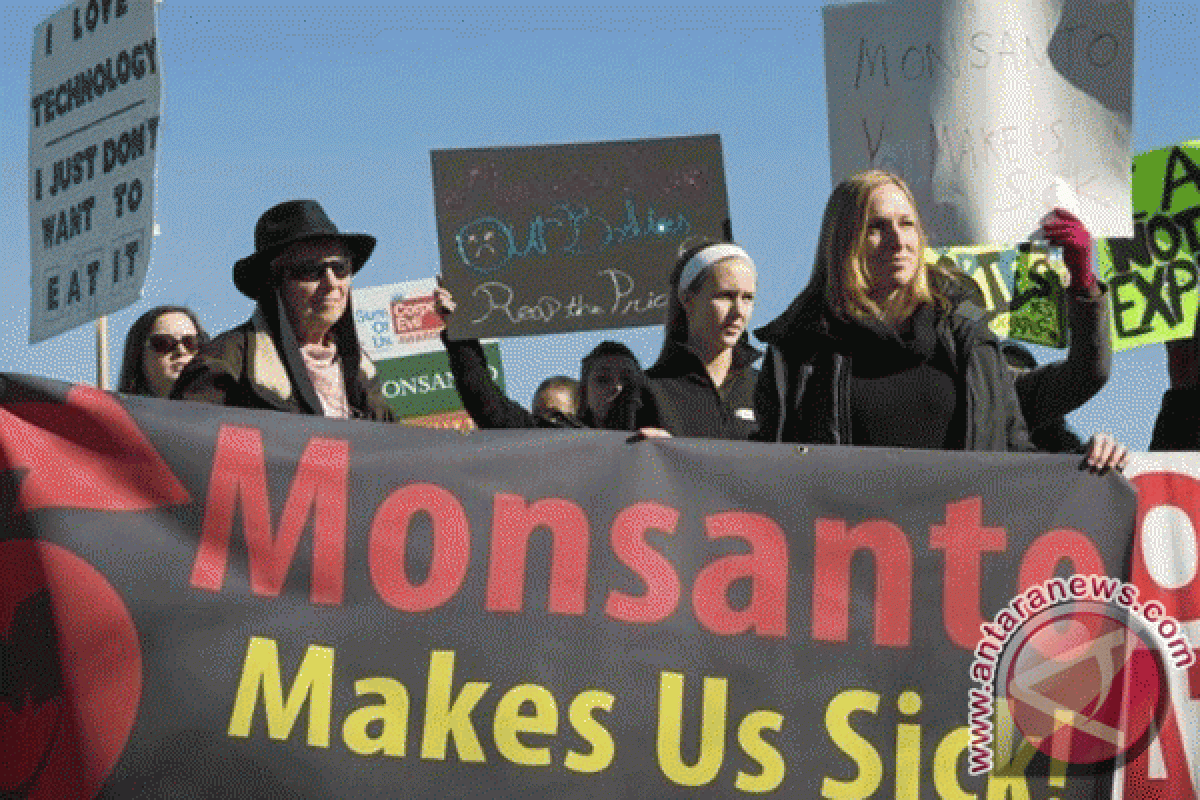 Ribuan demonstran seluruh dunia protes Monsanto