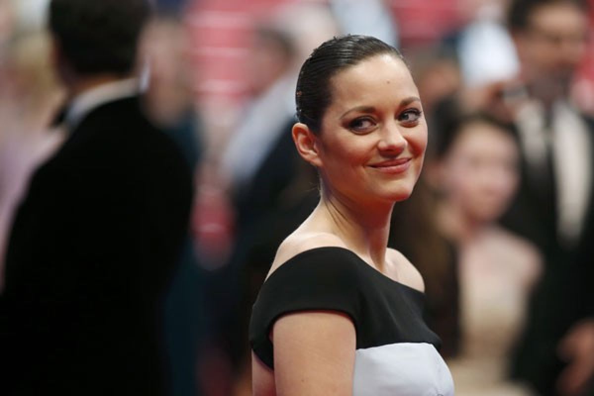 Marion Cotillard bantah berkaitan dengan perceraian Jolie-Pitt 