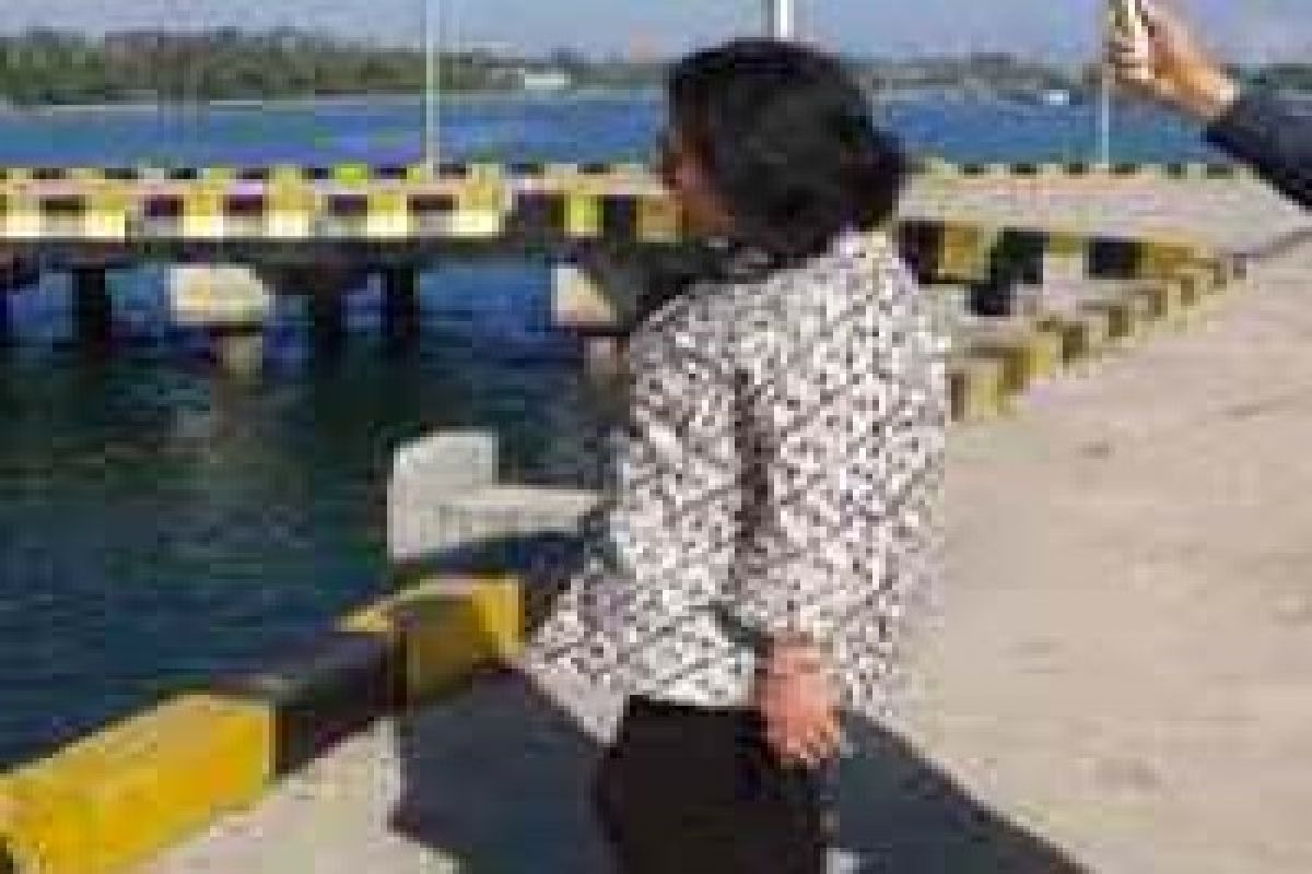 Legislator PAN Minta Pelabuhan Bungkutoko Segera Difungsikan