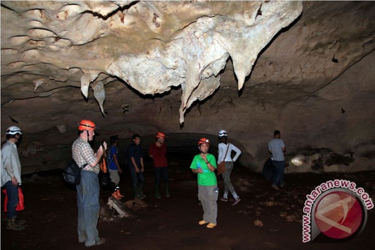 Karst sangkulirang Mangkaliat masuk nominasi warisan dunia