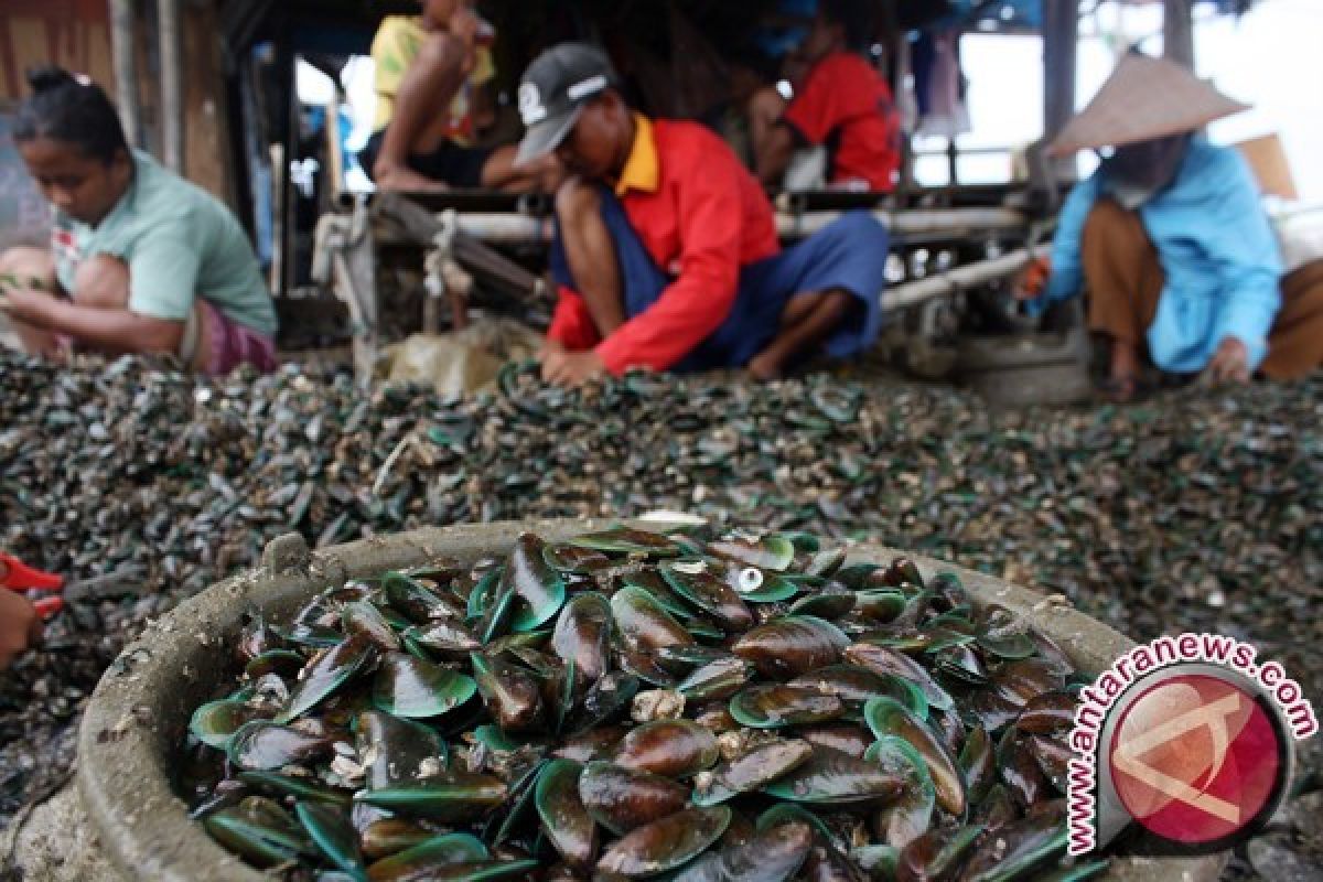 Nelayan Sukal Gelar Panen Raya Kerang