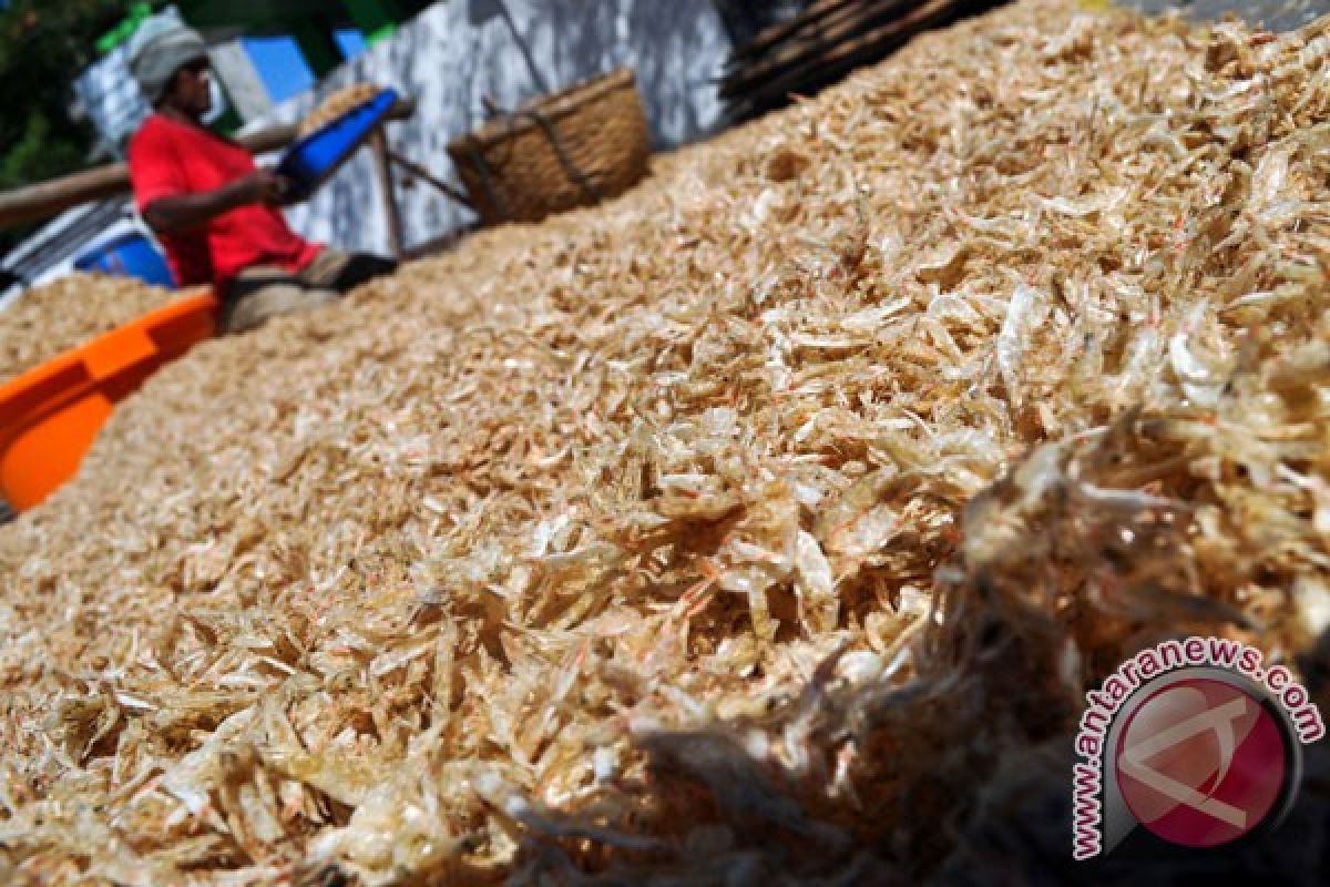 Kulit udang jadi plastik ramah lingkungan? bisa