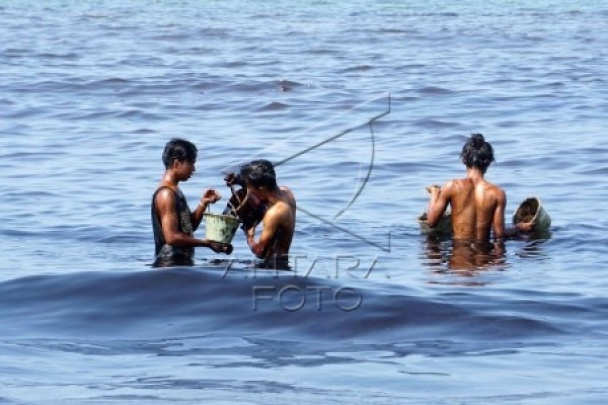 Tumpahan Minyak di Teluk Penyu Tak Pengaruhi Wisatawan