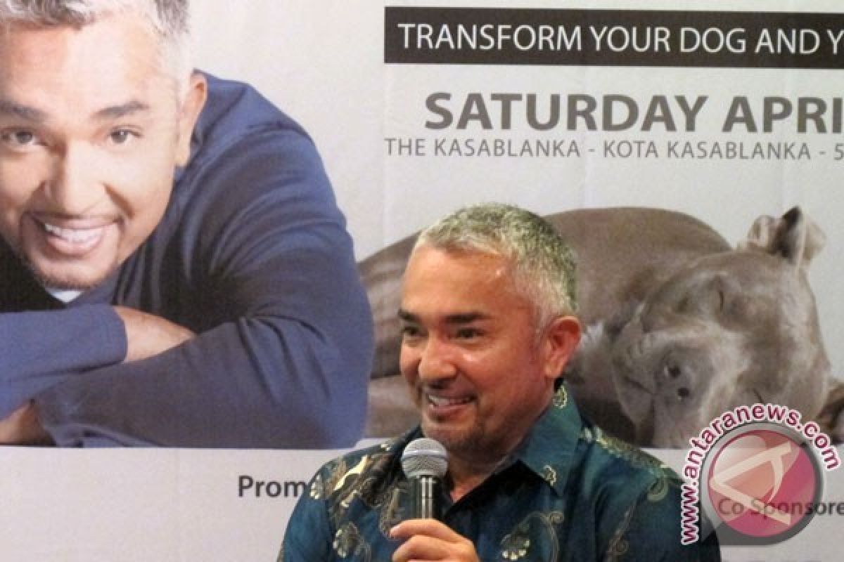 Pakar Perilaku Anjing Cesar Millan Batal ke Jakarta