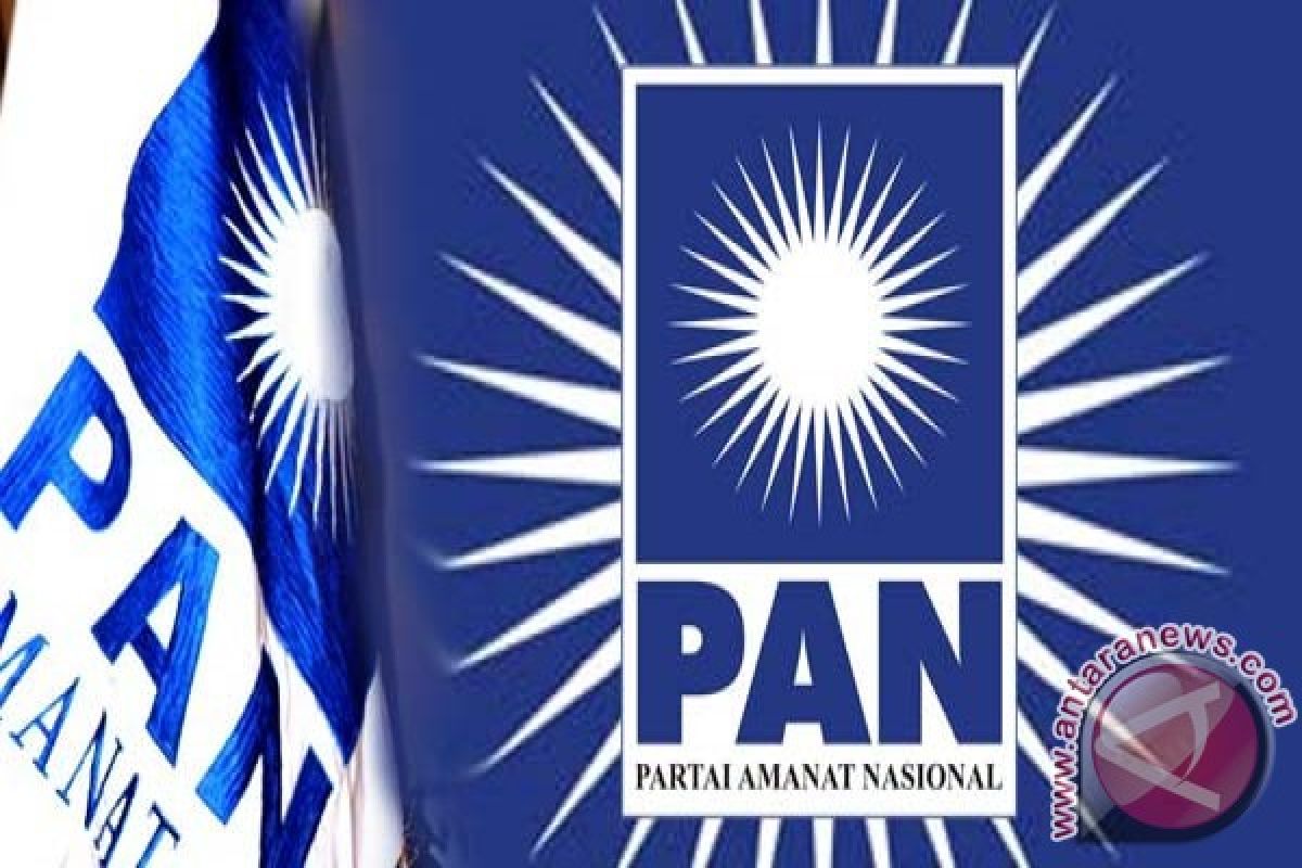 DPW PAN Kalteng Dianggap Langgar Perintah DPP