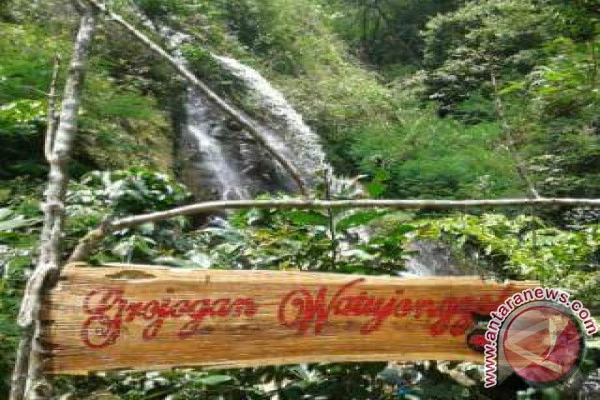 Ratusan wisatawan mulai kunjungi Kebun Teh Nglinggo