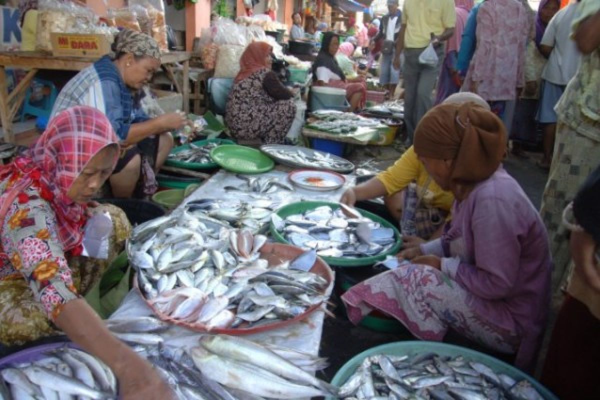 Kota Malang Segera Miliki Swalayan Ikan Terbesar