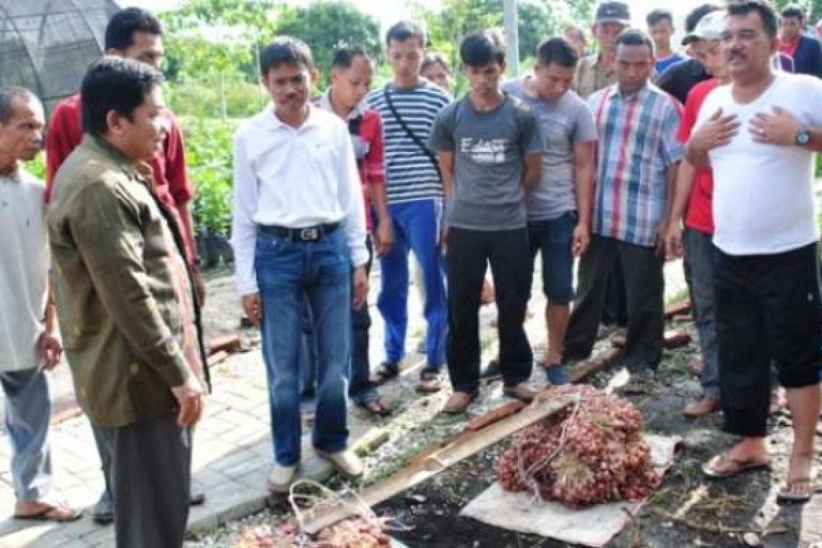  BRK: Kemandirian Pangan Kampar Redam Gejolak Ekonomi