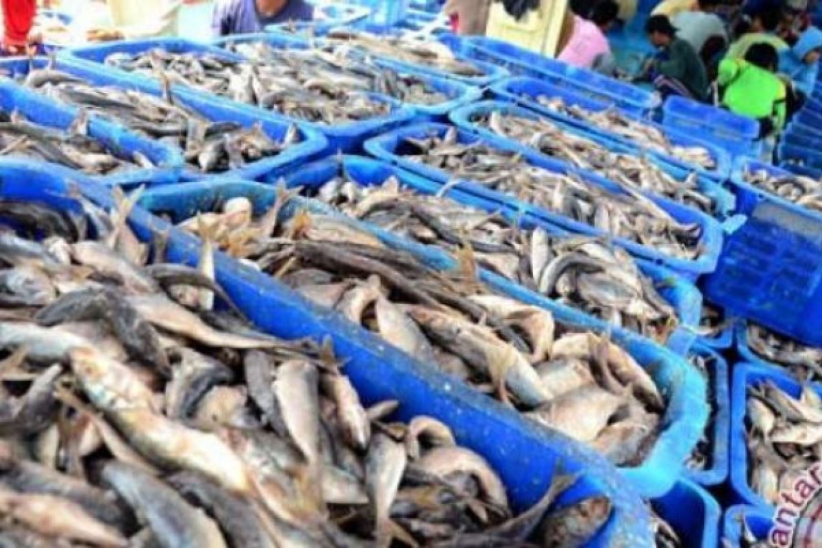 Abon Ikan Jadi Andalan Warga Pesisir 