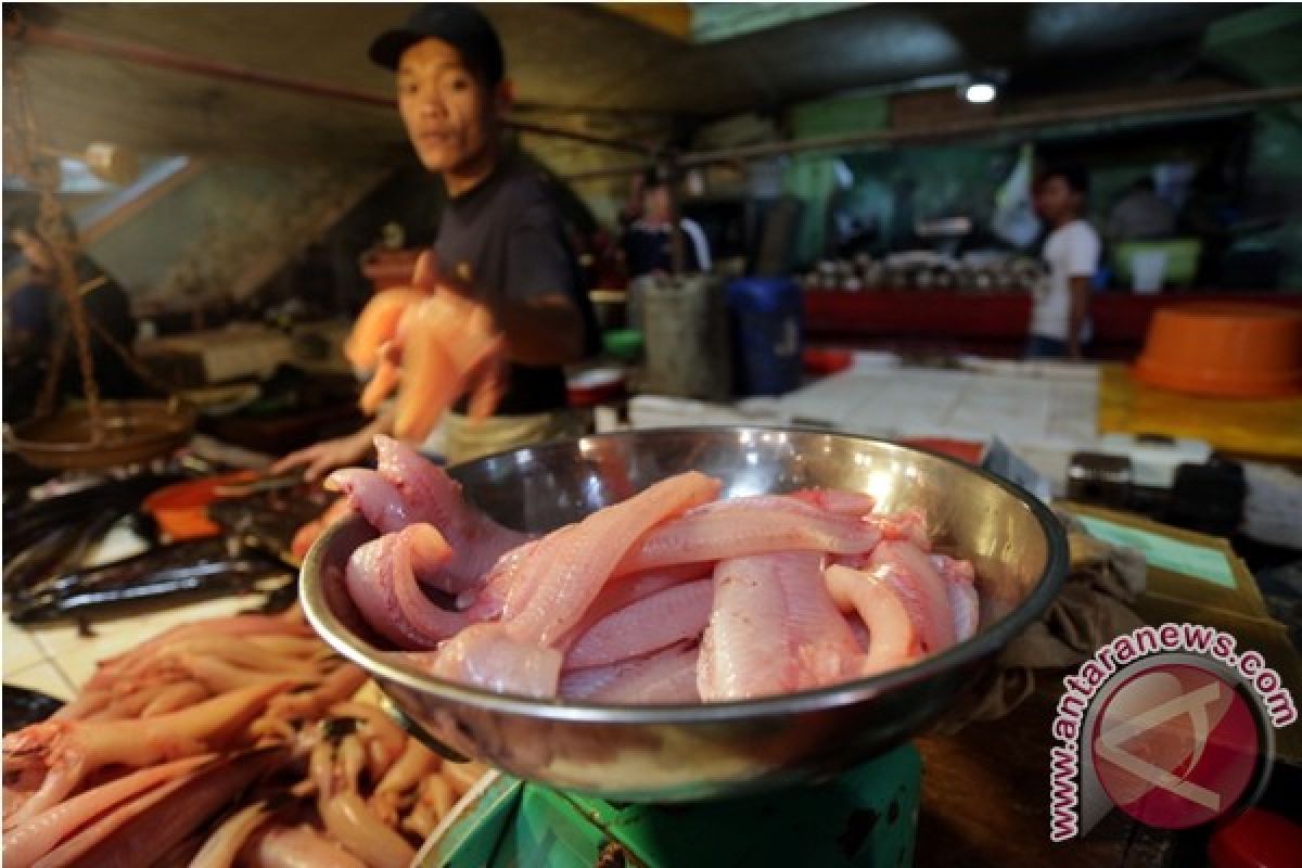 Harga ikan gabus turun dorong konsumsi warga